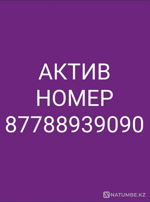 Продам актив номер Алматы - изображение 1
