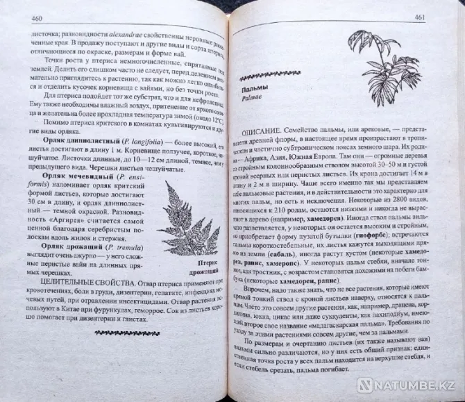 Indoor flowers - selection of books_01 Almaty - photo 10