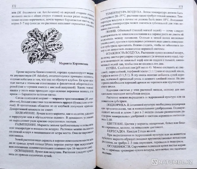 Indoor flowers - selection of books_01 Almaty - photo 7
