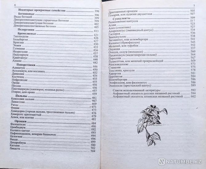 Indoor flowers - selection of books_01 Almaty - photo 5