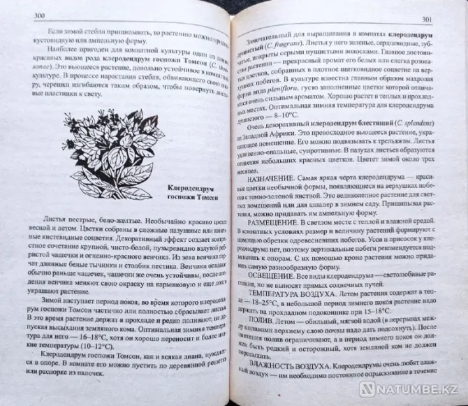 Indoor flowers - selection of books_01 Almaty - photo 8