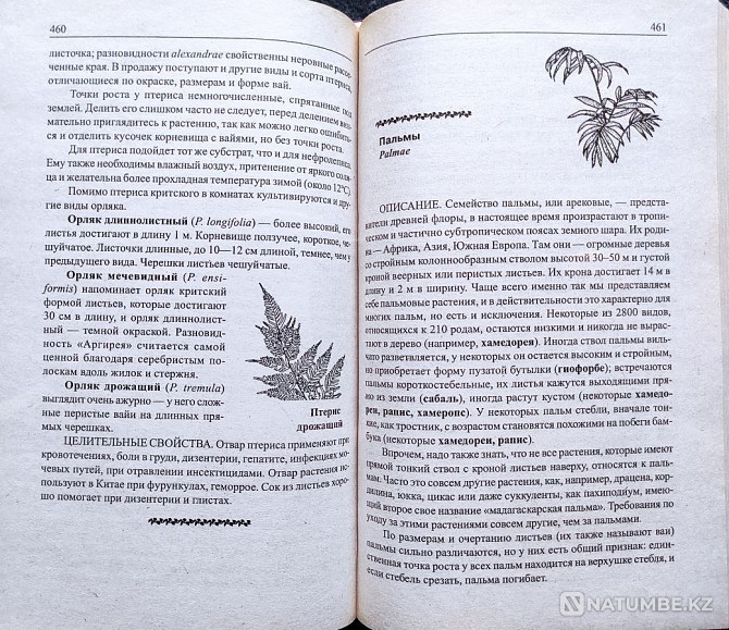Комнатные цветы – подборка книг_01 Алматы - изображение 10
