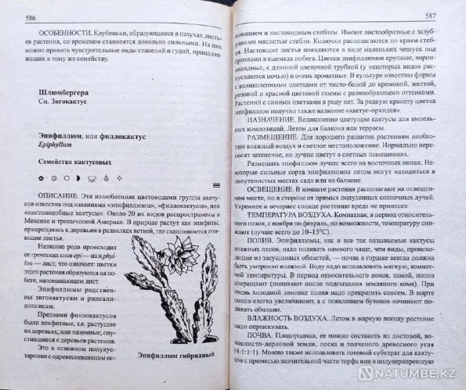 Indoor flowers - selection of books_01 Almaty - photo 11