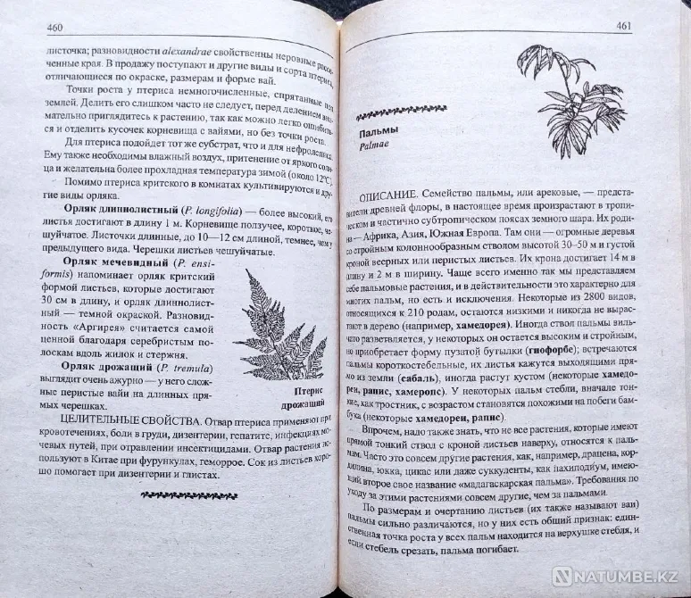Комнатные цветы – подборка книг_01 Алматы - изображение 10