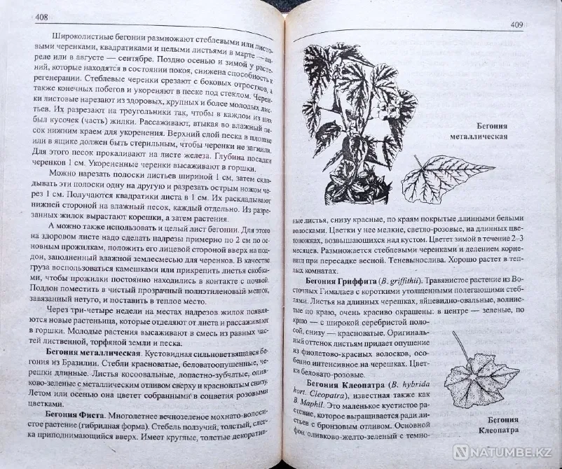 Комнатные цветы – подборка книг_01 Алматы - изображение 9