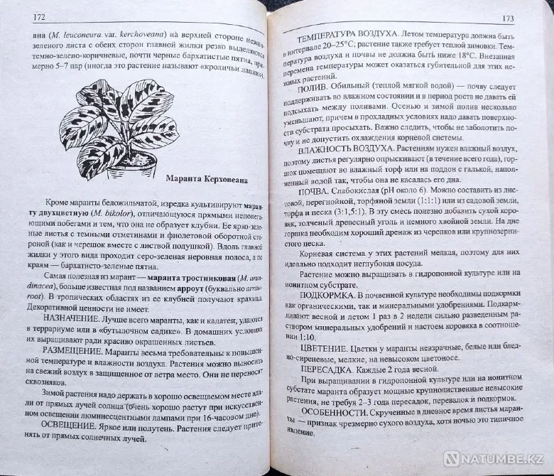 Комнатные цветы – подборка книг_01 Алматы - изображение 7