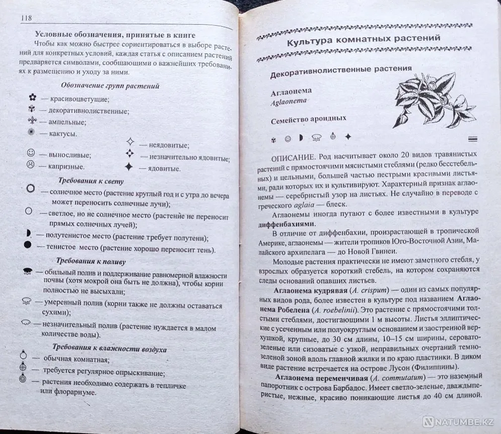 Комнатные цветы – подборка книг_01 Алматы - изображение 6