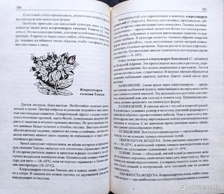 Комнатные цветы – подборка книг_01 Алматы - изображение 8