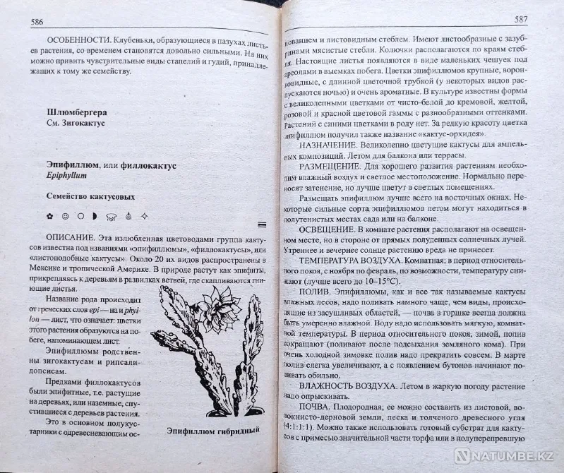 Комнатные цветы – подборка книг_01 Алматы - изображение 11