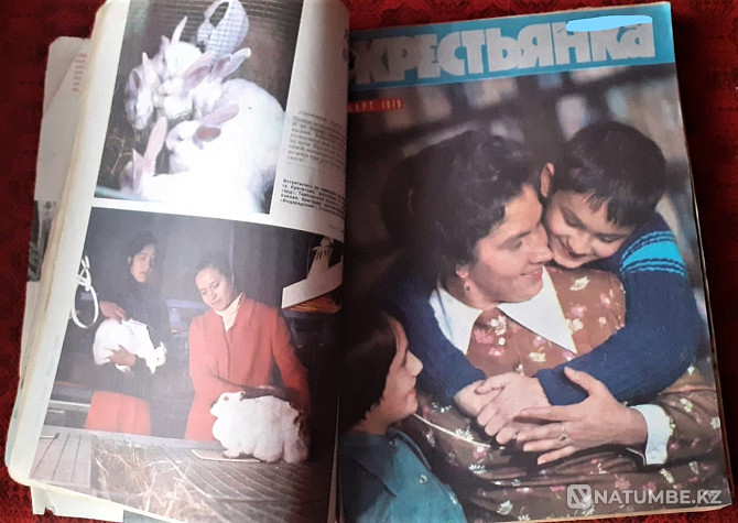 Magazine Peasant 1979 (12 copies) Binder Kostanay - photo 6