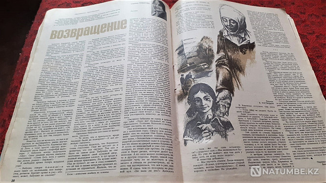 Magazine Peasant 1979 (12 copies) Binder Kostanay - photo 11