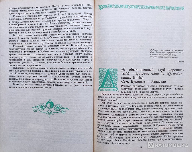 Дары леса и поля – подборка книг Алматы - изображение 8