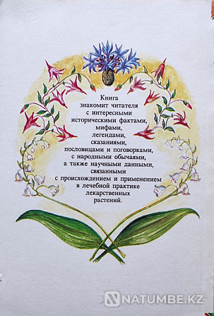 Дары леса и поля – подборка книг Алматы - изображение 3