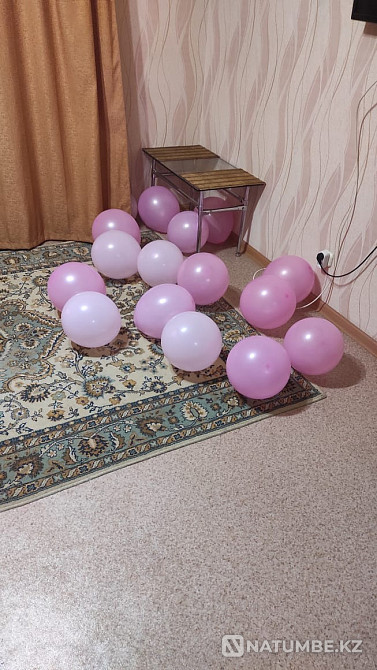 Сдаю квартиру посуточно Костанай - изображение 7