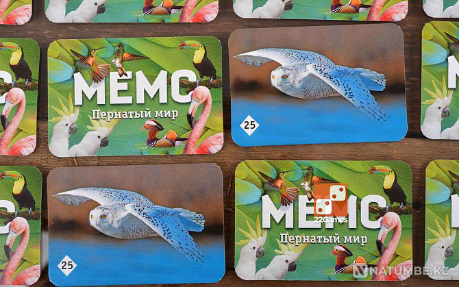 Board game: Memo Feathered World Almaty - photo 3