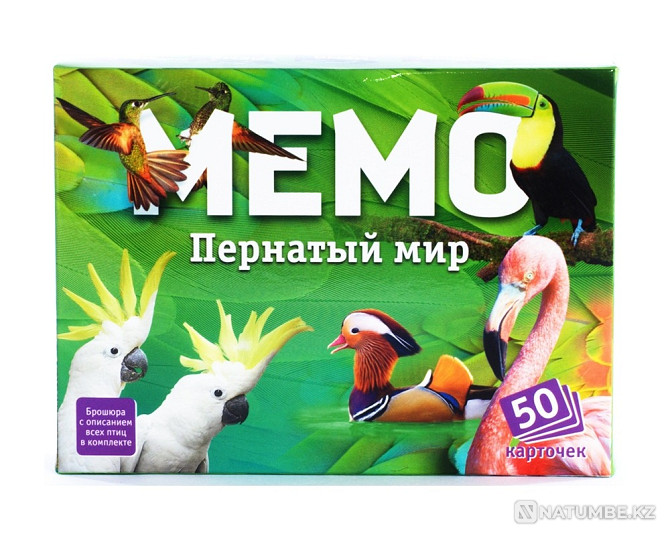 Board game: Memo Feathered World Almaty - photo 1