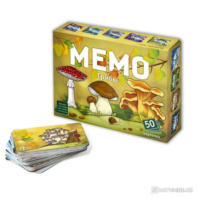 Board game: Memo Mushrooms Almaty - photo 2