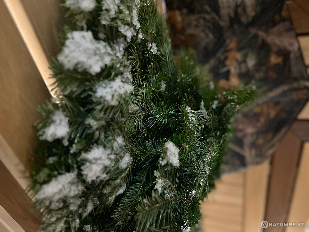 Almaty steaming, peeling Almaty - photo 2