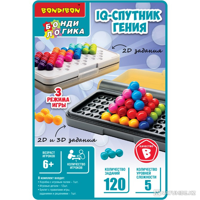 Puzzle: IQ Companion of a Genius Almaty - photo 1
