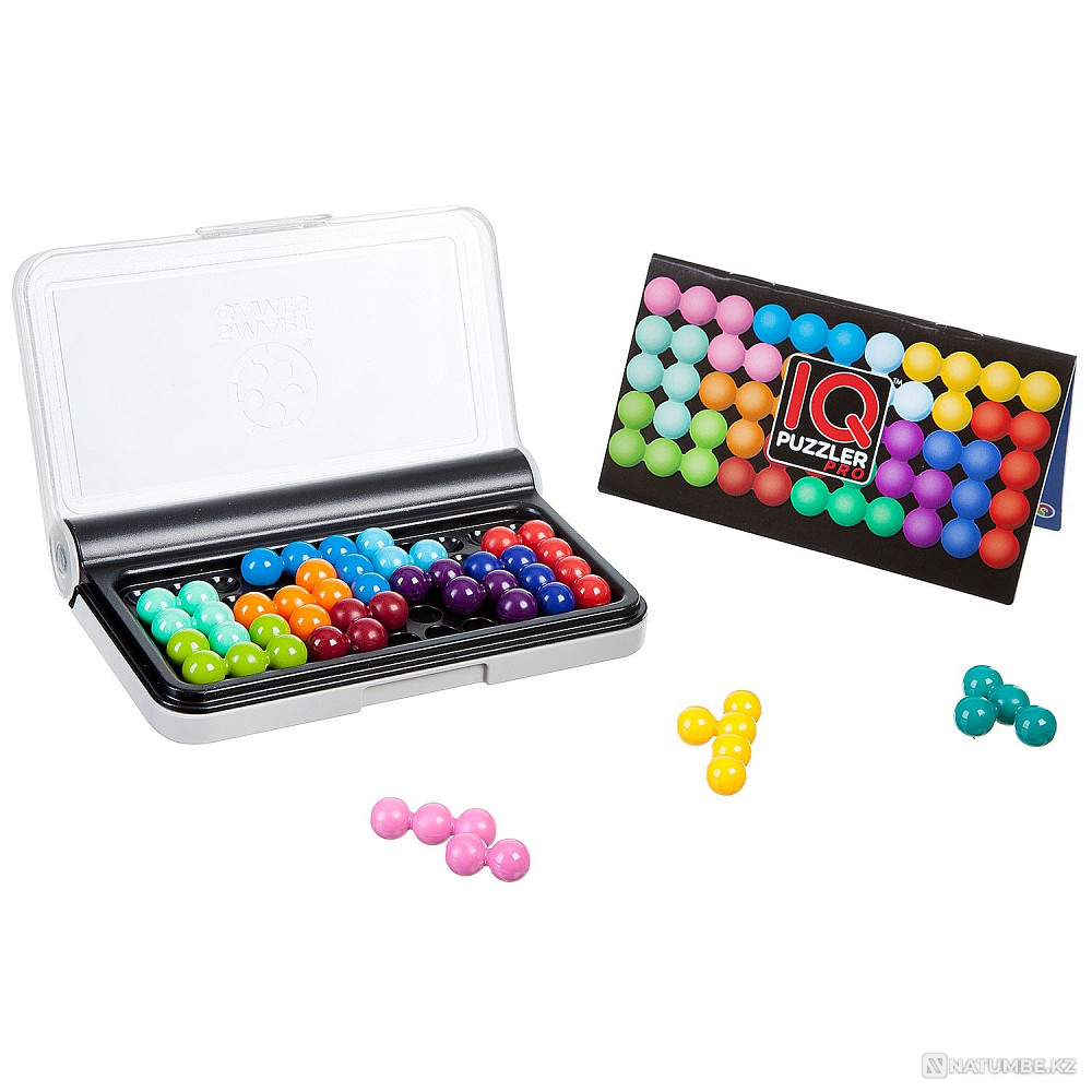 Puzzle: IQ Companion of a Genius Almaty - photo 4