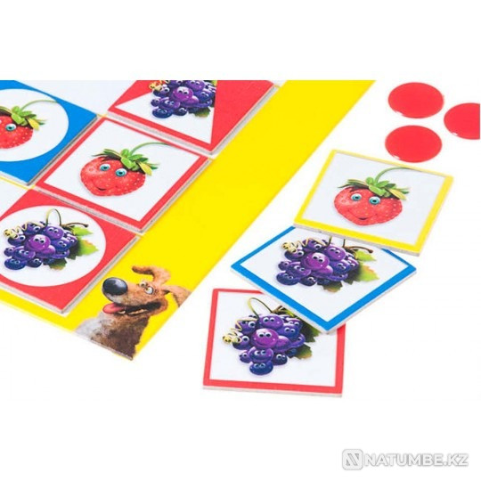 Настольная игра: Био-трио Алматы - изображение 2