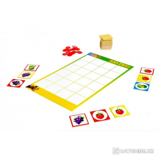 Настольная игра: Био-трио Алматы - изображение 3