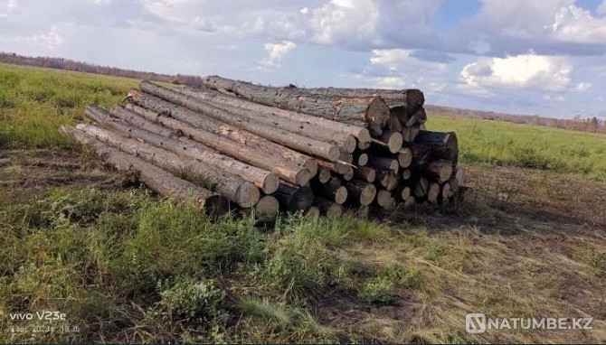 Lumber, boards, poles, stock Almaty - photo 3