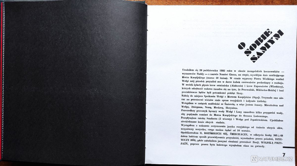 Khlebnikov Velimir - Poems/Prose Polish Almaty - photo 5