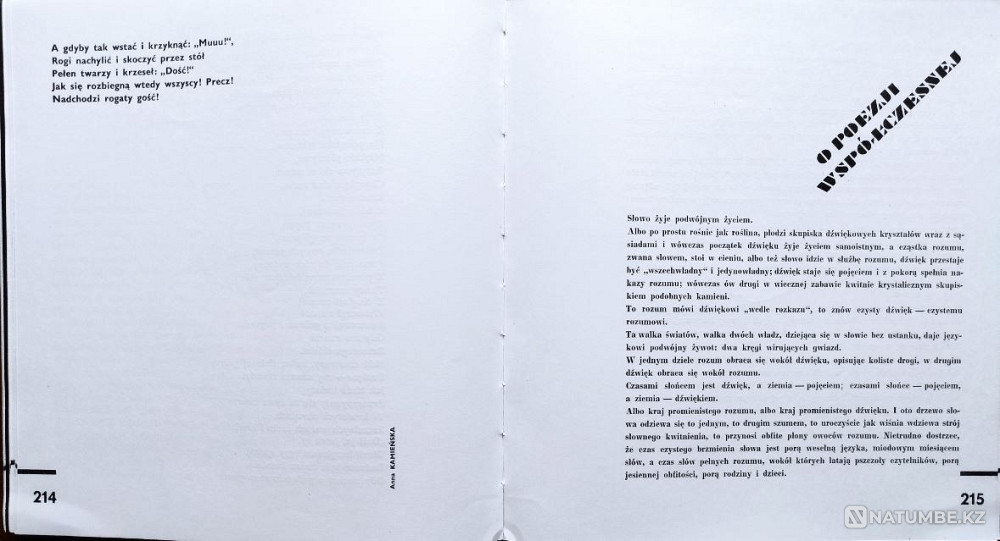 Khlebnikov Velimir - Poems/Prose Polish Almaty - photo 8