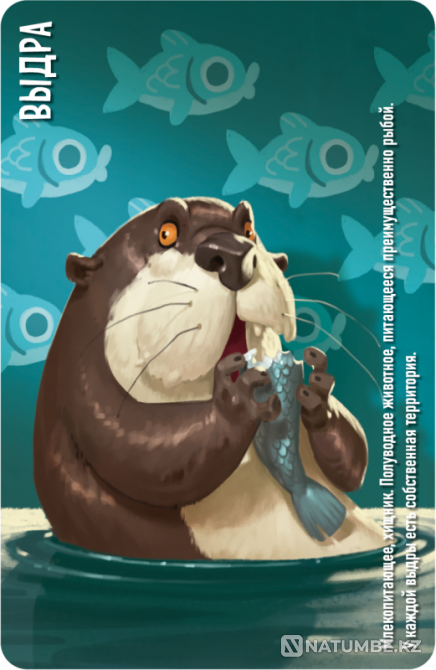 Настольная игра: Similo Животные Алматы - изображение 3