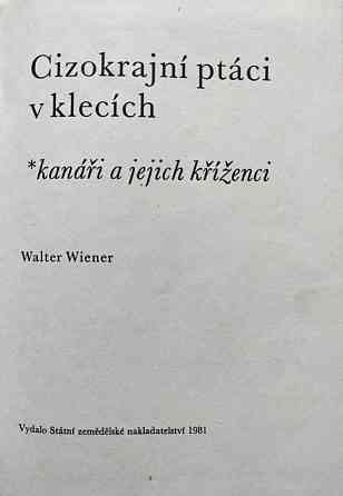 Kanáři a jejich kříženci - Walter Wiener Almaty