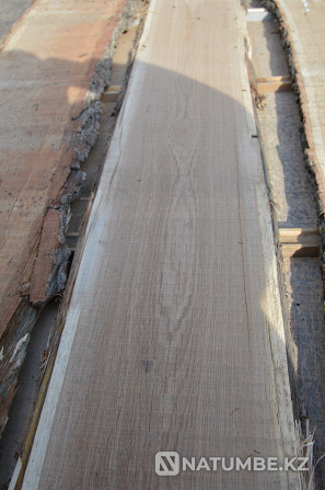 Ash boards, edged, not edged, dry Astana - photo 1