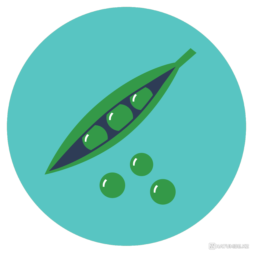 Board game: Green Cow Almaty - photo 3