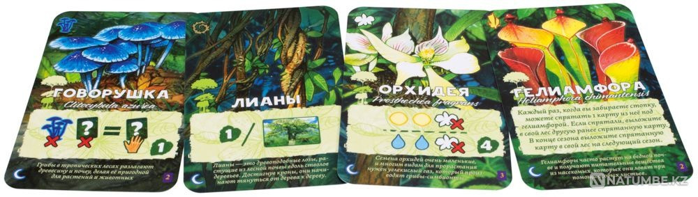 Настольная игра: Амазония Алматы - изображение 8