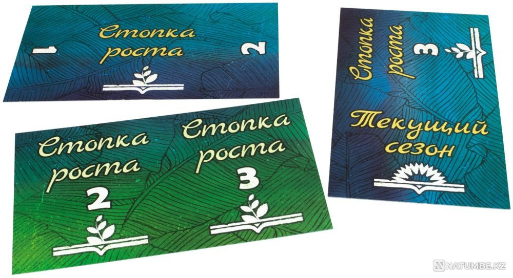 Настольная игра: Амазония Алматы - изображение 4