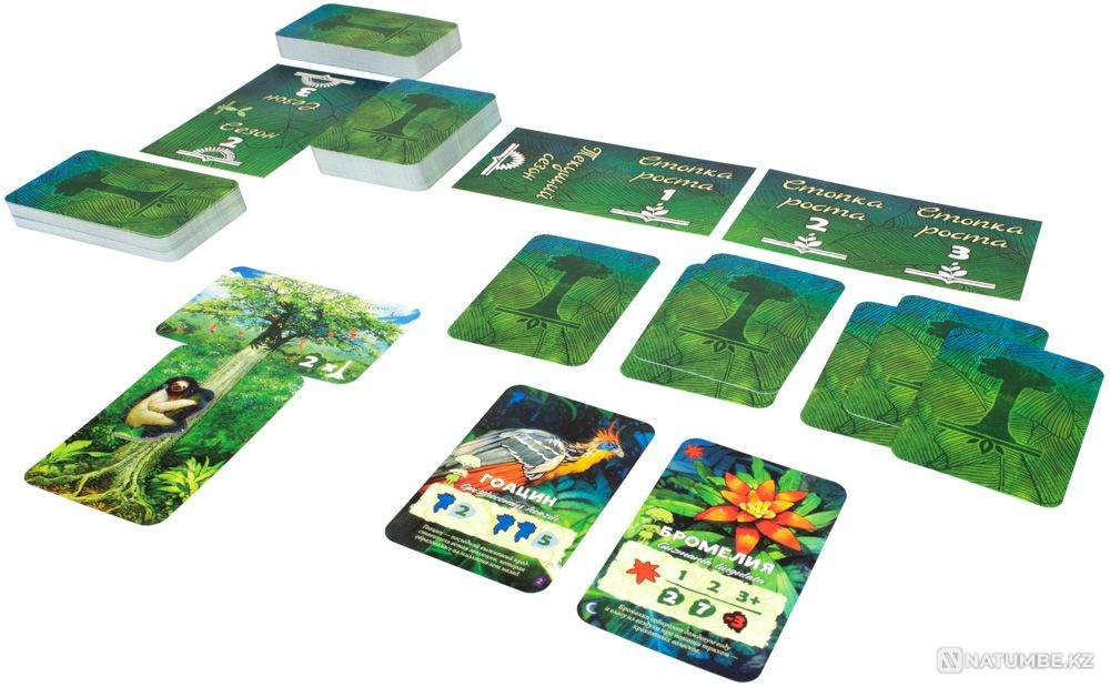 Настольная игра: Амазония Алматы - изображение 12