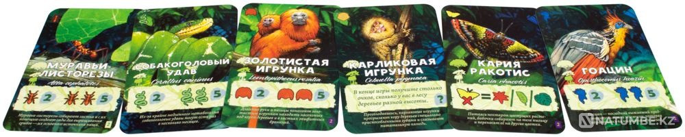 Настольная игра: Амазония Алматы - изображение 7