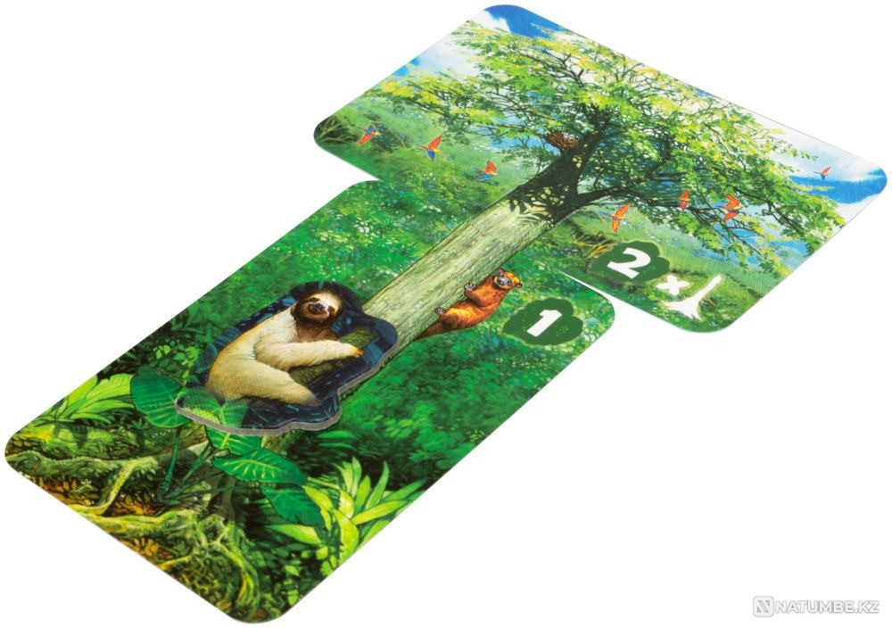 Настольная игра: Амазония Алматы - изображение 11