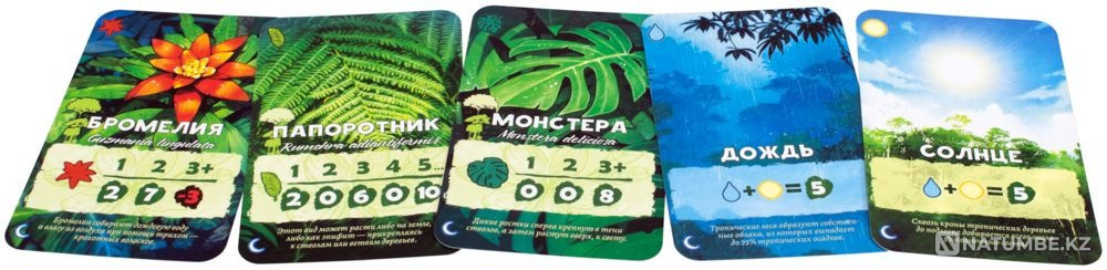 Настольная игра: Амазония Алматы - изображение 6