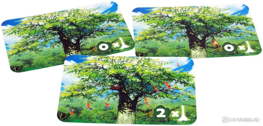 Настольная игра: Амазония Алматы - изображение 10