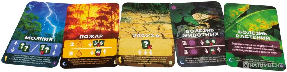 Настольная игра: Амазония Алматы - изображение 9
