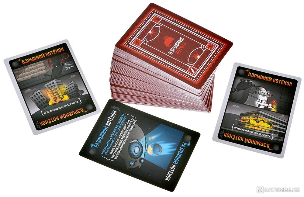 Explosive Kittens: Kotostropha Recipes Almaty - photo 8