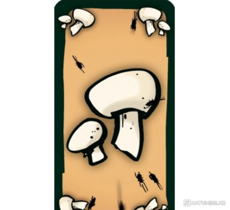 Board game Kakerlaken suppe Almaty - photo 8