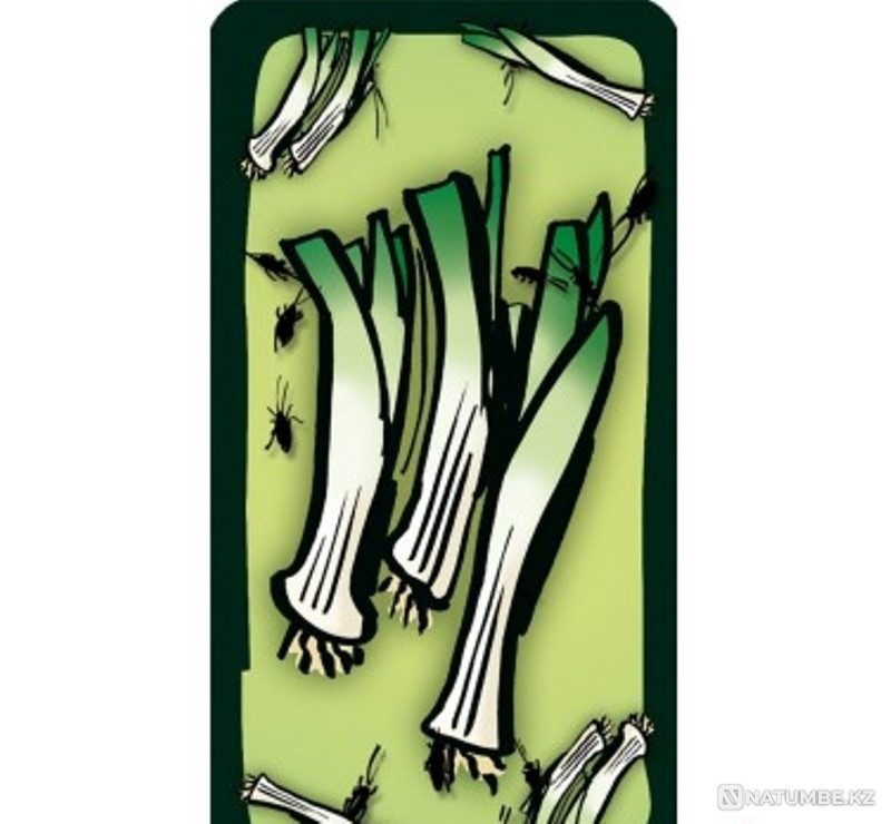 Board game Kakerlaken suppe Almaty - photo 7