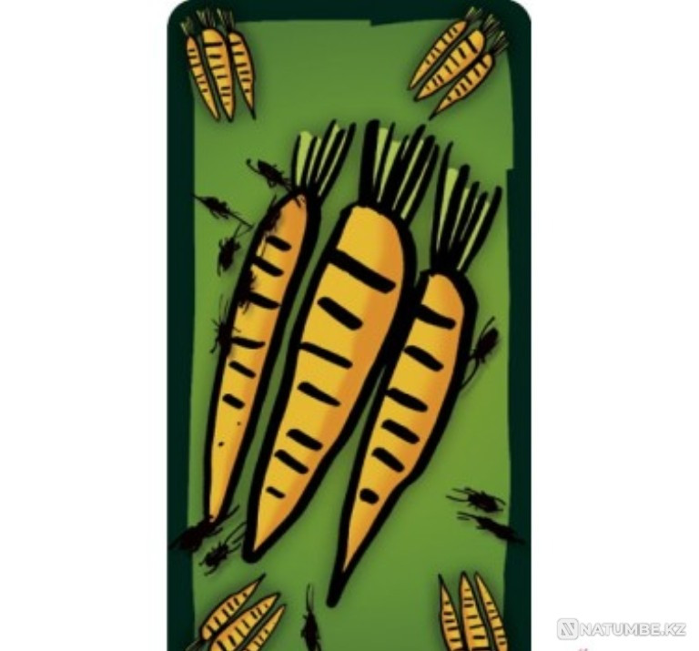 Board game Kakerlaken suppe Almaty - photo 6