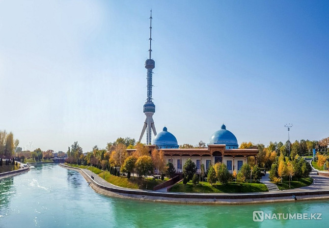 Second trip to Tashkent Shymkent - photo 12