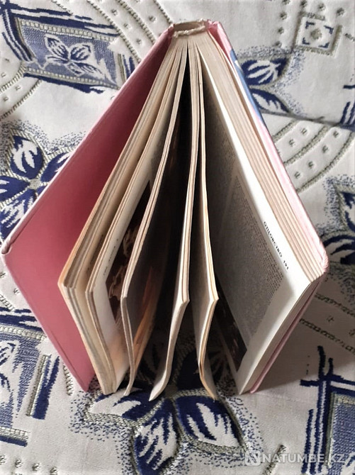 Sexology Encyclopedic Reference Kostanay - photo 6