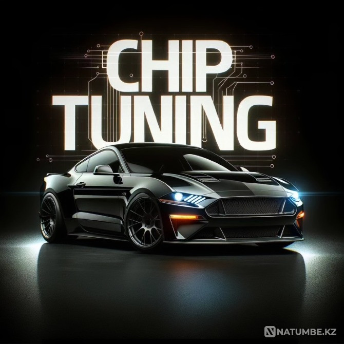 Chip tuning Almaty, Euro2 firmware Almaty - photo 1