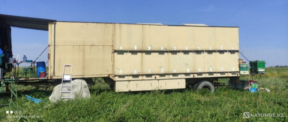 Selling Bee Pavilion Almaty - photo 3