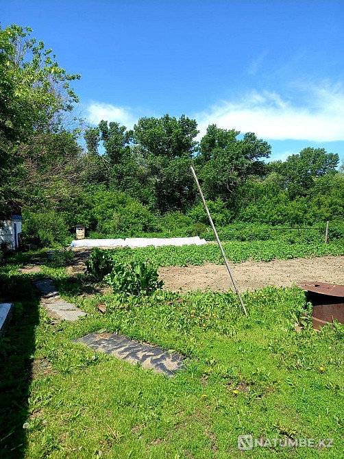 Продам  дом Усть-Каменогорск - изображение 6